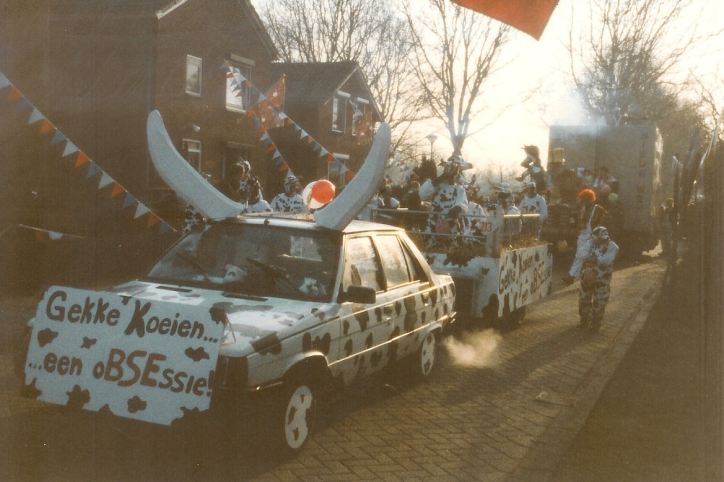 koeien16.jpg