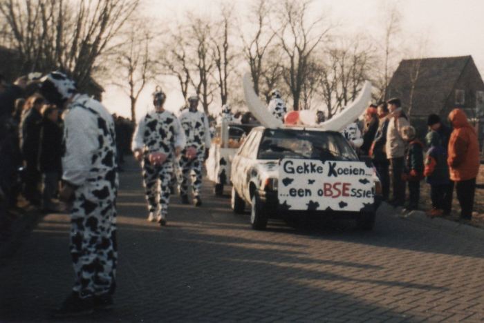 koeien11.jpg