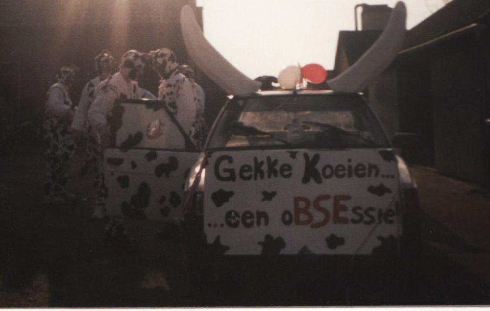 koeien10.jpg